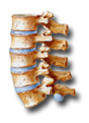 Christian Avesani Osteopata Trattamenti cervicali e lombari Emicrania Verona