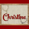 Appartement Christine