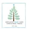 Adelaide Blue Lake Christmas Trees