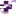 CHRISTUS Health Gastroenterology Associates