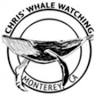 Chris' Fishing and Whale Watching