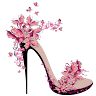 Cinderela Shoes