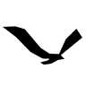 Gabbiano Cinema and Theater