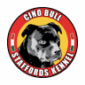Cino Bull - pensione per cani