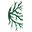 Cinpa
