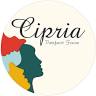 Cipria Perfect Face