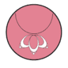 Cirsium