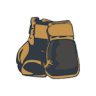 City Boxing Camp