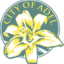 Adel City Manager