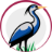 Chesapeake City Manager