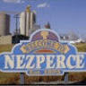 Nezperce City Shop