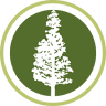 Palo Alto City Council
