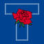Tyler Rose Garden