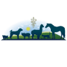 Country Lane Animal Hospital: Mccracken David DVM