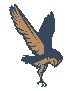 Clark Wealth Partners
