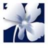 Claudette Fleuriste