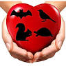 Claws N Paws Rehabilitation Center