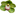 Clermont Florist and Wine Shop