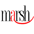 Dr. Steve Marsh DDS