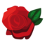 Cleveland the Florist