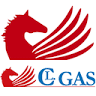 CL Gas Auto