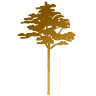 Borchardt & Moder Funeral Services