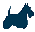 VETERINARY CLINIC maskota
