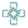 Clínica Dental Puchi