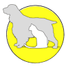 Veterinary Clinic La Favorita