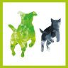 Veterinary Clinic Sologne