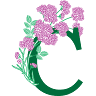 Clorofilla spazi verdi