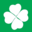 Clover insurance services