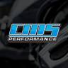 CMS Performance