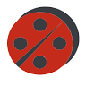 Coccinelle