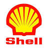 Coconut Creek Shell