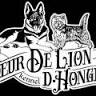 Coeur de Lion D'Hongrie