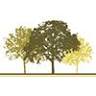 Coile and Hall Funeral Directors