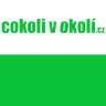 Židovský hřbitov v Souši