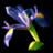 Colby Photoart