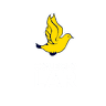 Colexio LAR