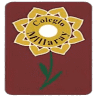 Colegio Millaray