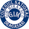 Colegiul Național Gib Mihăescu