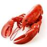 Collins Lobster Shop