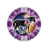 COMANCHE SPUR QUICK