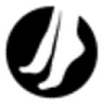 Branch J Palmer DPM