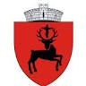 Primăria Baia