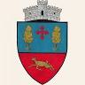 Primăria Mălini