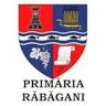 Comuna Răbăgani