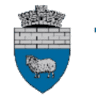 Primăria Tilişca