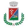 Comune Di Guspini